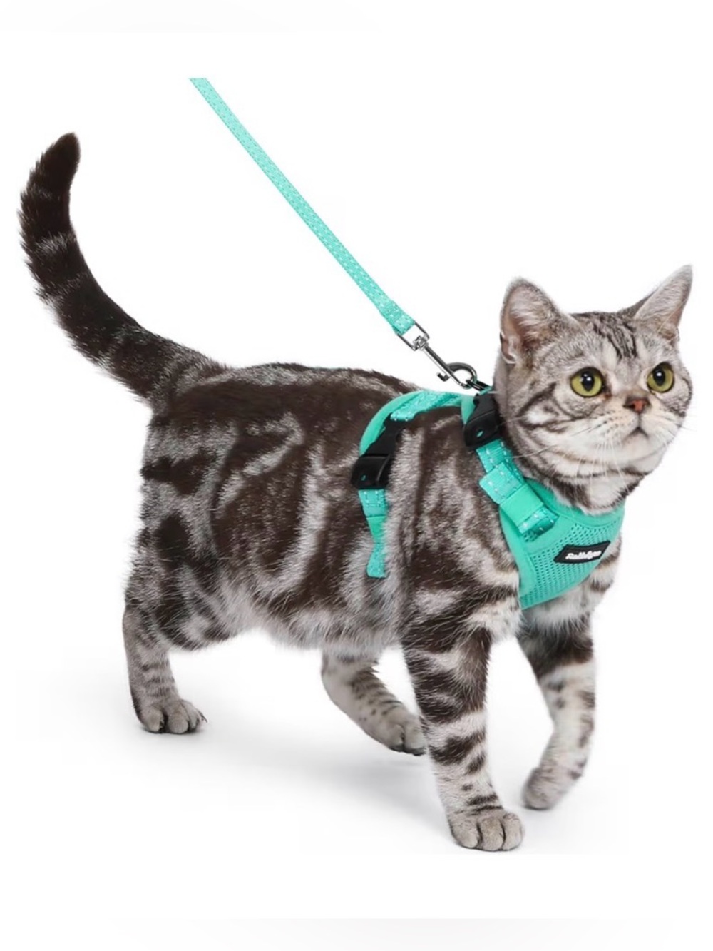 Adjustable Mint Green Cat Harness and Leash Set - Comfort Fit SIZE SMALL